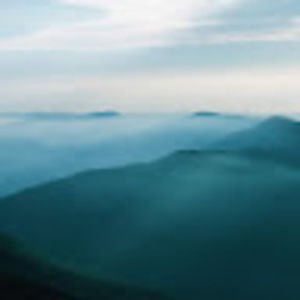 Meet your Posher, Ben